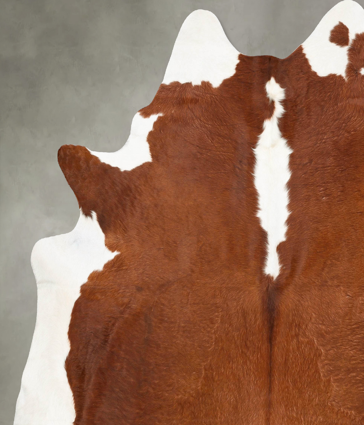 Hereford XX-Large Brazilian Cowhide Rug 8'8"H x 7'7"W #B28850 by Hudson Hides