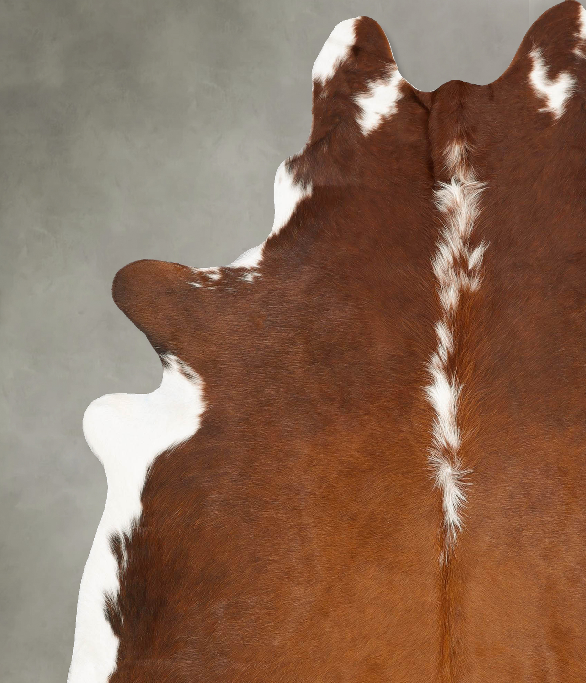 Hereford XX-Large Brazilian Cowhide Rug 7'11"H x 6'8"W #B28852 by Hudson Hides