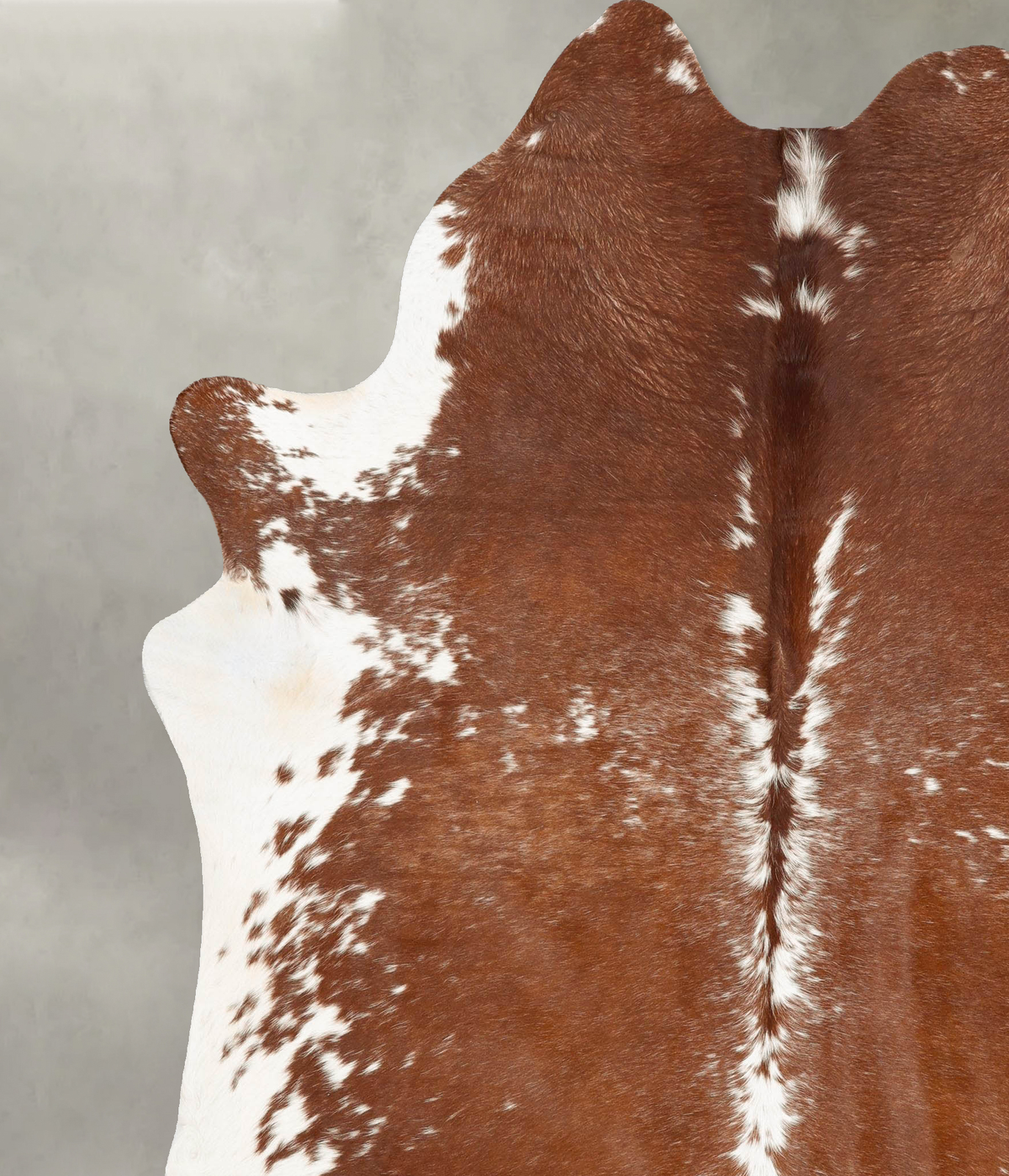 Brown and White XX-Large Brazilian Cowhide Rug 8'5"H x 6'11"W #B28857 by Hudson Hides