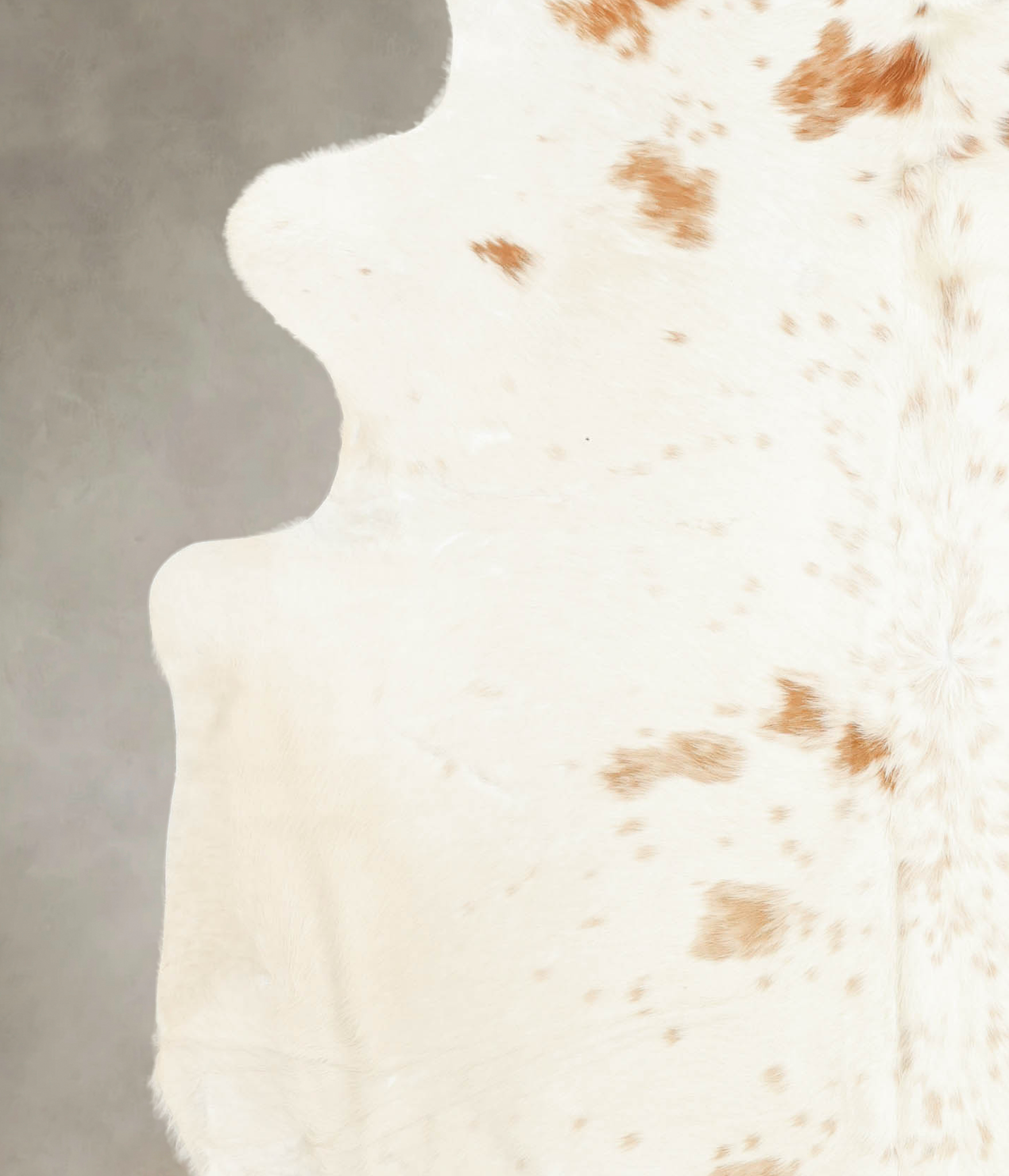 Brown and White Regular Cowhide Rug #B2886
