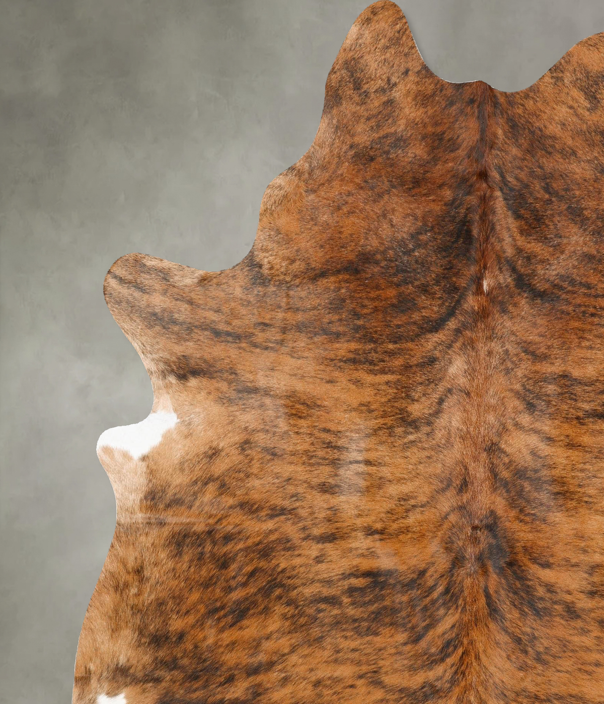 Medium Brindle X-Large Brazilian Cowhide Rug 7'4"H x 6'2"W #B28860 by Hudson Hides