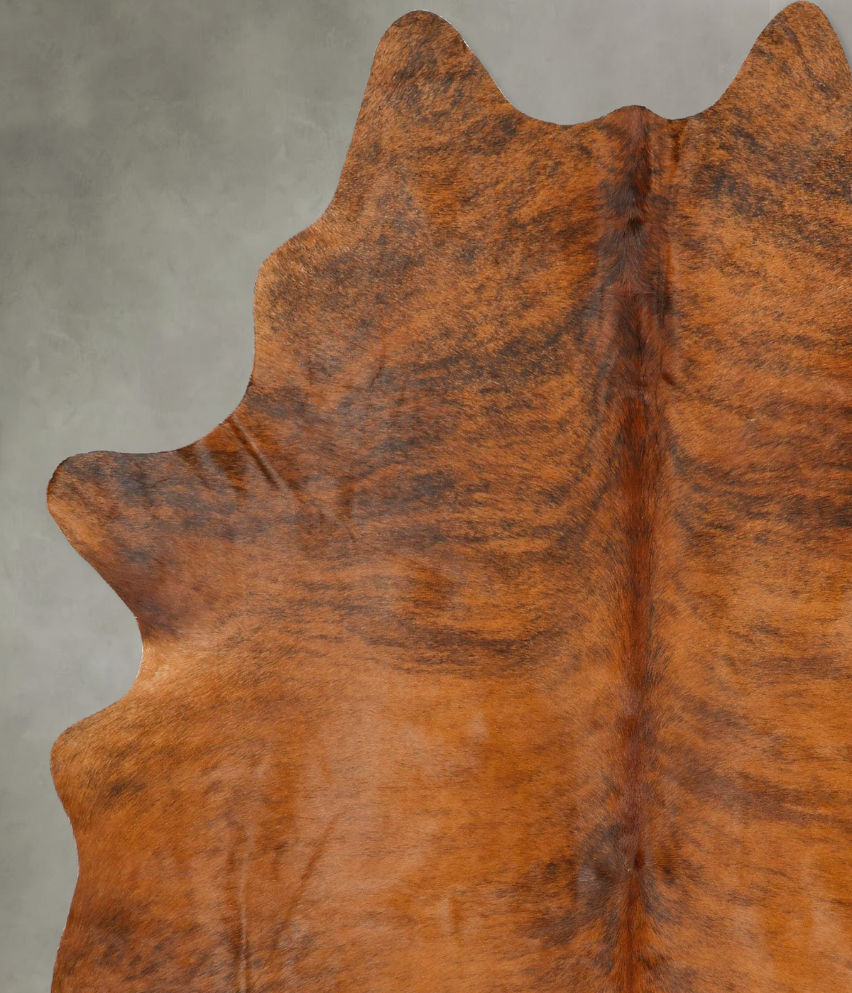 Medium Brindle X-Large Brazilian Cowhide Rug 7'2"H x 5'9"W #B28861 by Hudson Hides