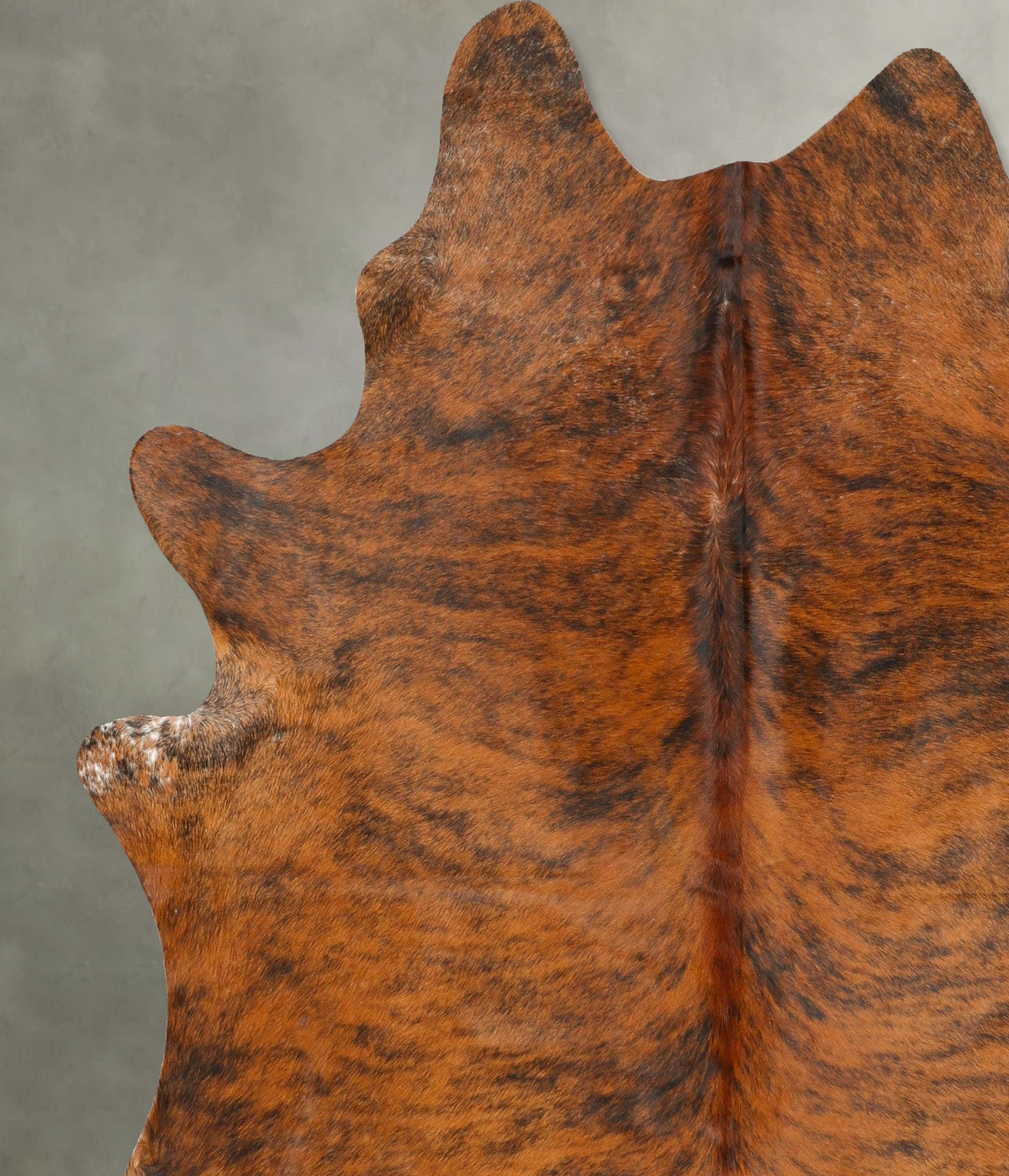 Medium Brindle X-Large Brazilian Cowhide Rug 7'3"H x 6'4"W #B28863 by Hudson Hides