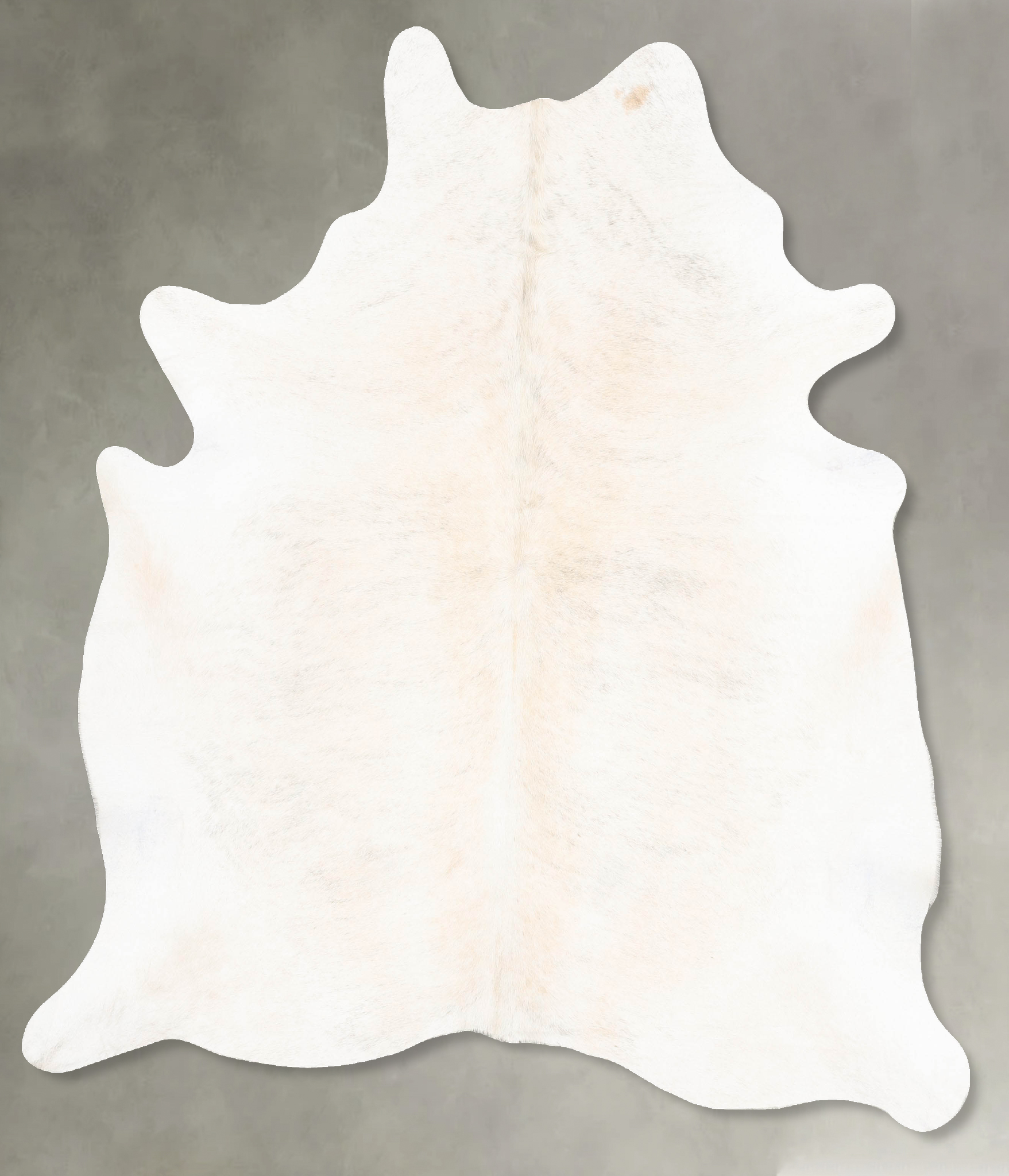 Light Grey Cowhide Rug #B28868