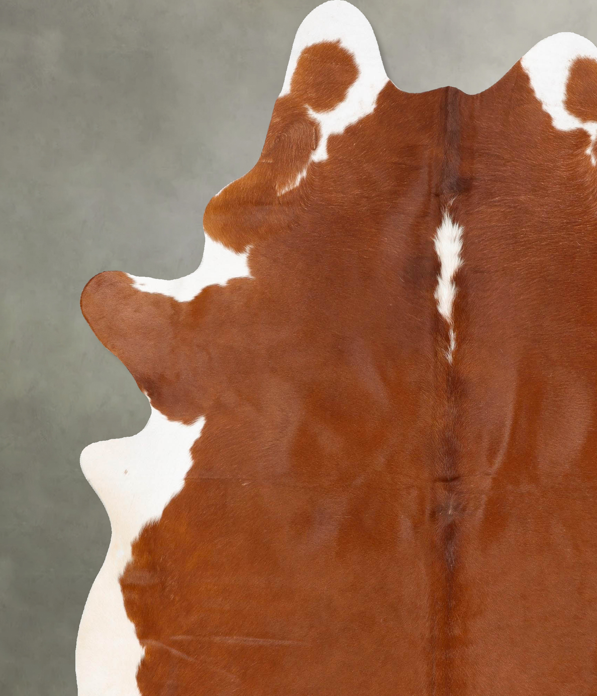 Hereford XX-Large Brazilian Cowhide Rug 8'2"H x 6'9"W #B28871 by Hudson Hides