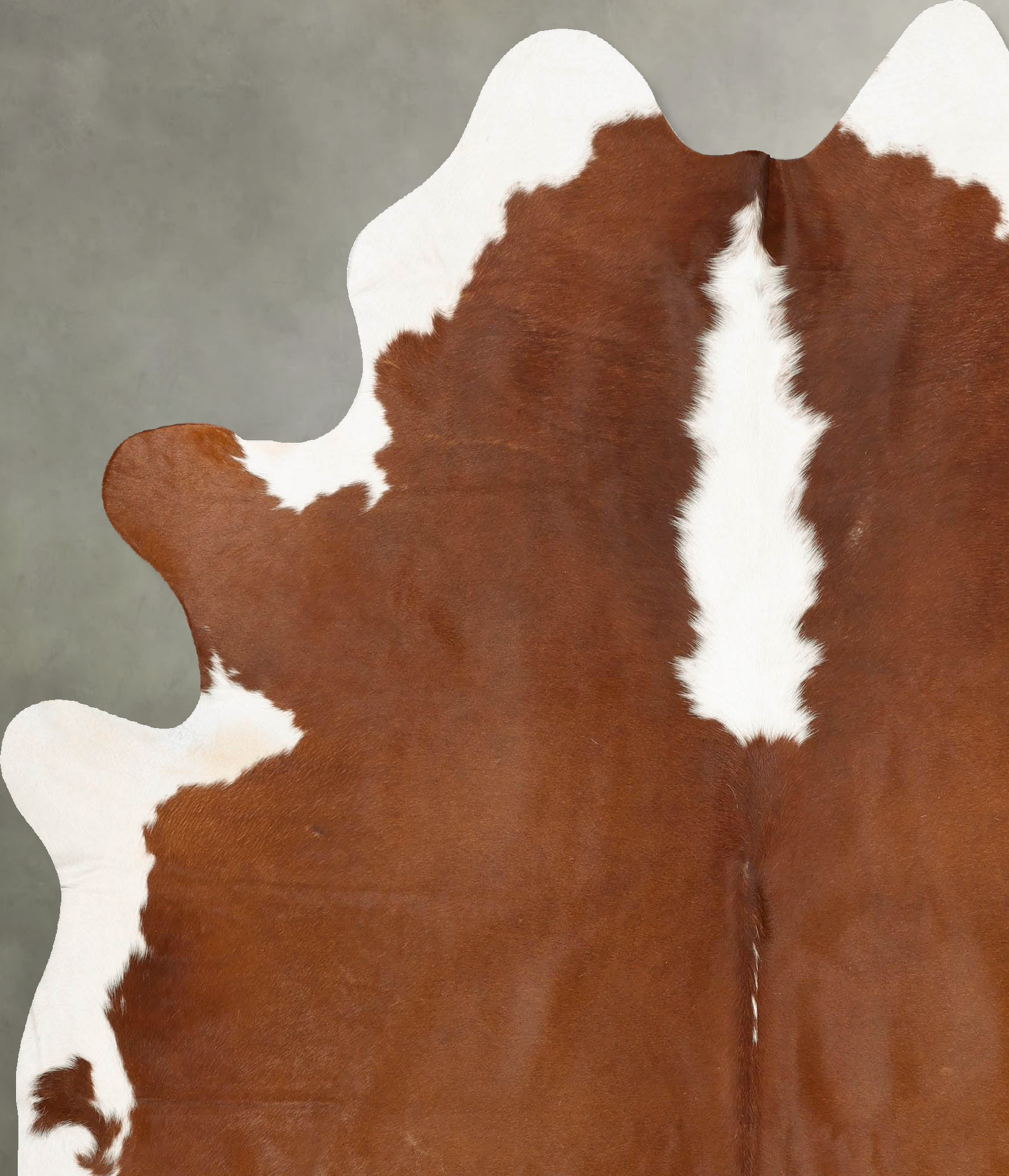 Hereford Cowhide Rug #B28873