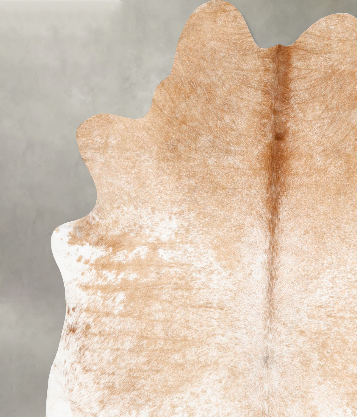 Beige and White XX-Large Brazilian Cowhide Rug 8'1"H x 7'5"W #B28879 by Hudson Hides