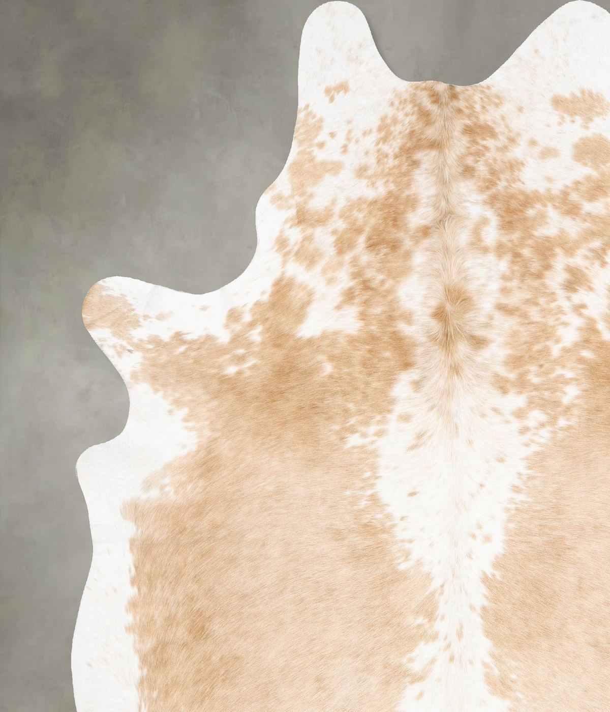 Beige and White XX-Large Brazilian Cowhide Rug 8'5"H x 6'9"W #B28884 by Hudson Hides