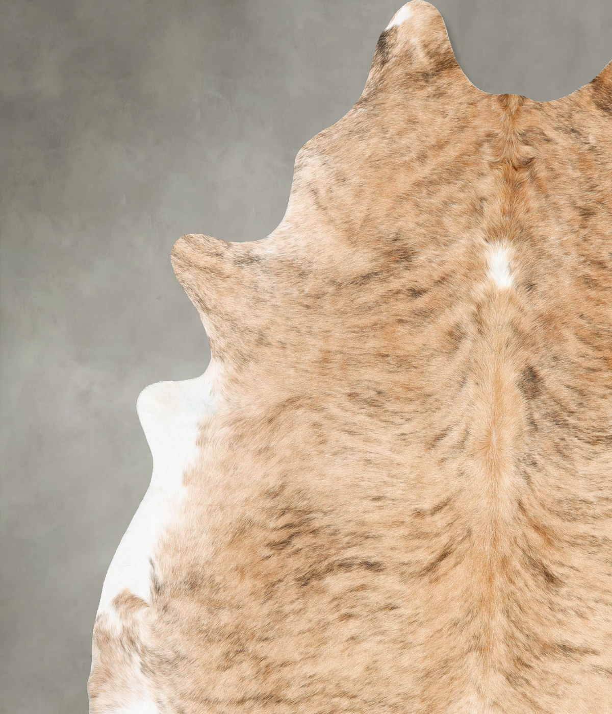 Light Brindle XX-Large Brazilian Cowhide Rug 8'8"H x 7'3"W #B28899 by Hudson Hides