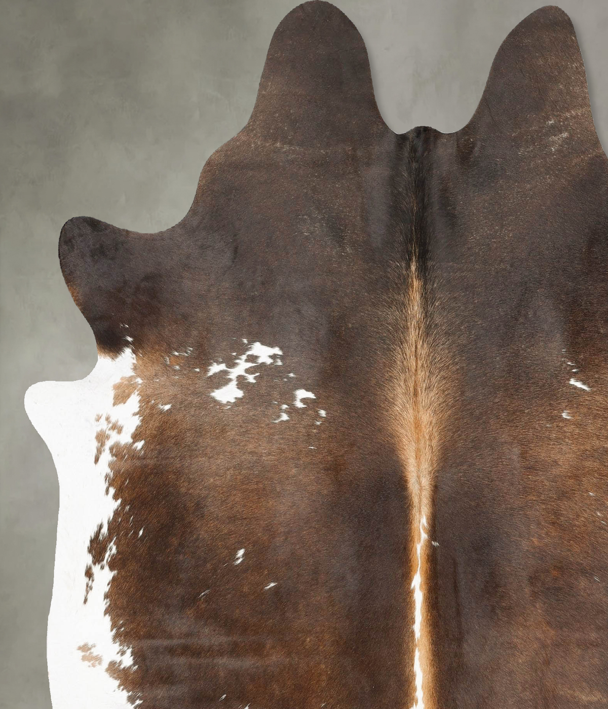 Chocolate and White X-Large Brazilian Cowhide Rug 7'1"H x 6'2"W #B28903 by Hudson Hides
