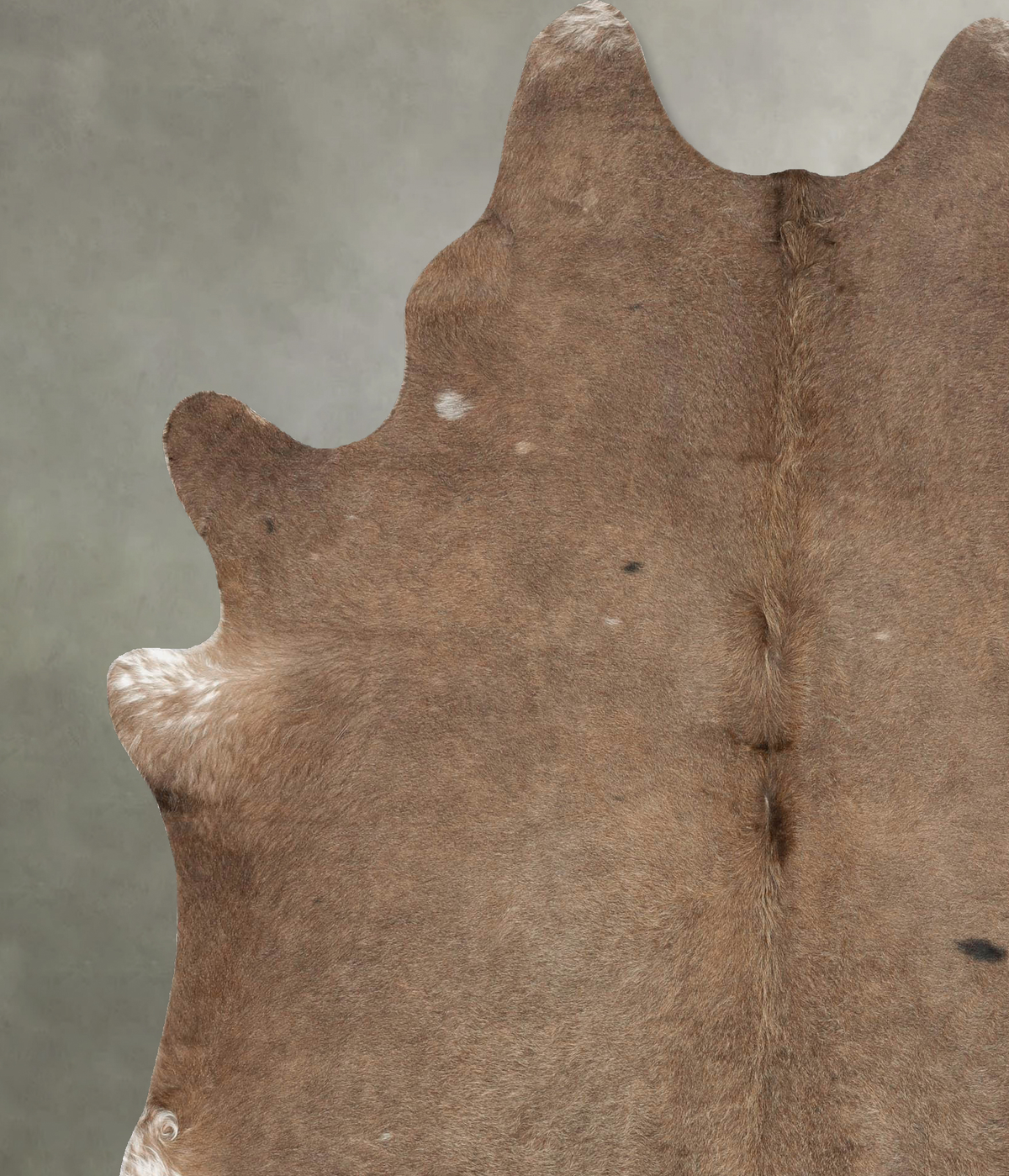 Taupe XX-Large Brazilian Cowhide Rug 7'11"H x 6'5"W #B28915 by Hudson Hides