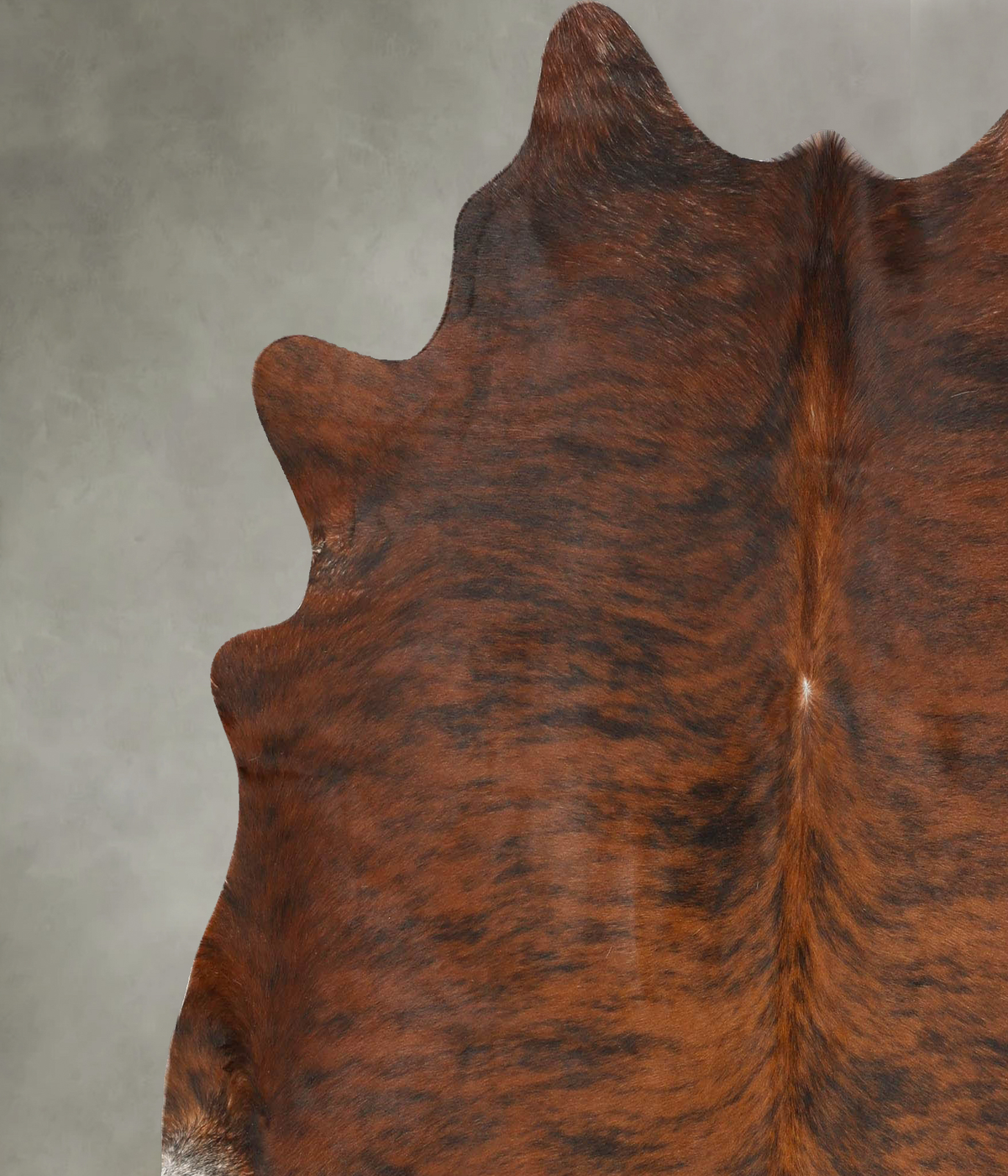Dark Brindle X-Large Brazilian Cowhide Rug 6'9"H x 6'7"W #B28920 by Hudson Hides