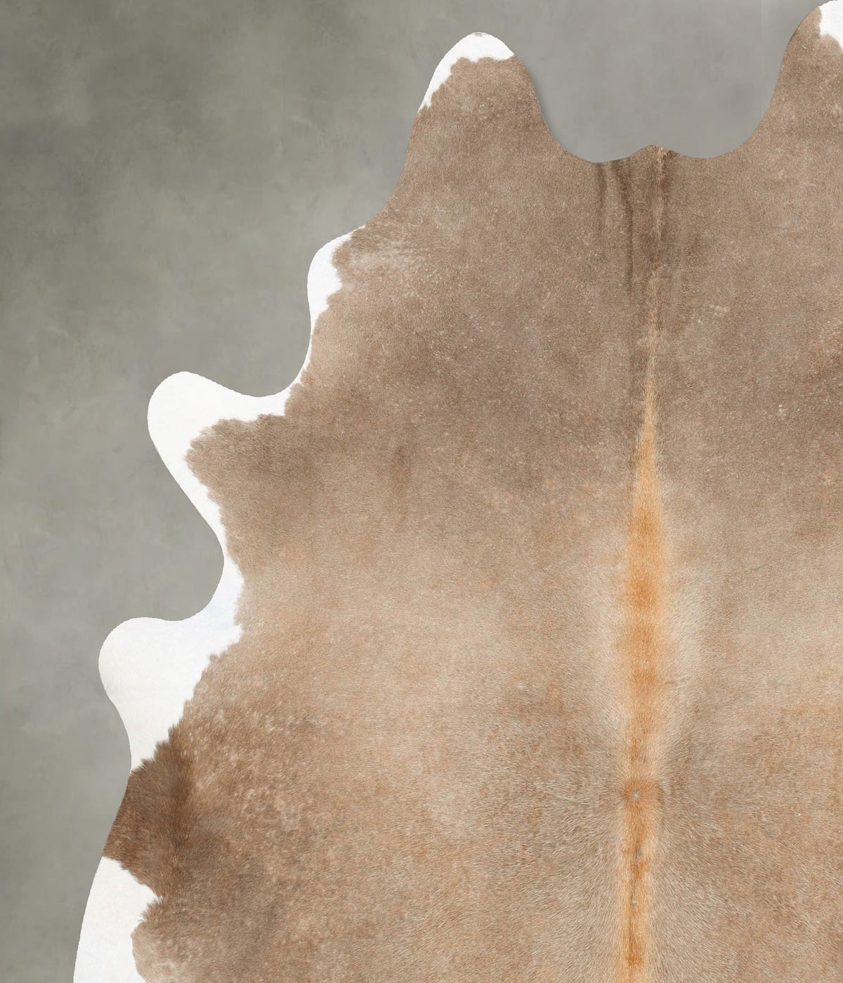 Taupe XX-Large Brazilian Cowhide Rug 8'8"H x 7'6"W #B28926 by Hudson Hides