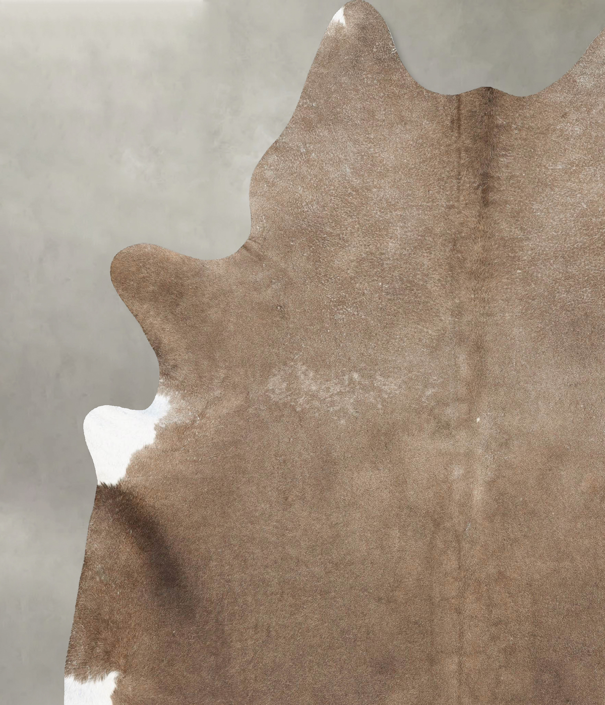 Taupe XX-Large Brazilian Cowhide Rug 8'6"H x 6'11"W #B28927 by Hudson Hides