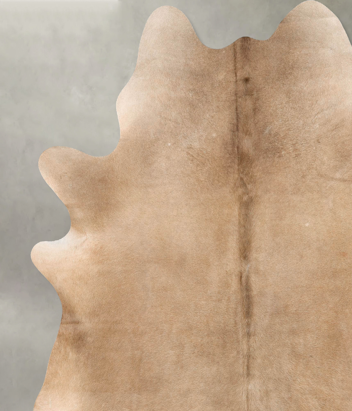 Taupe XX-Large Brazilian Cowhide Rug 7'10"H x 6'8"W #B28928 by Hudson Hides