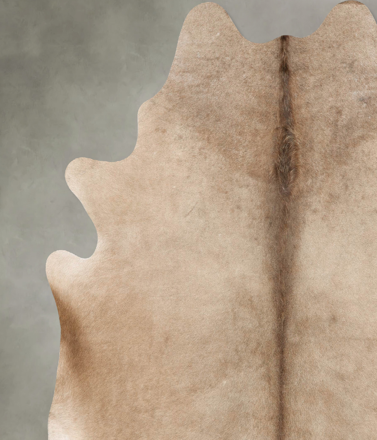 Champagne XX-Large Brazilian Cowhide Rug 7'11"H x 7'1"W #B28929 by Hudson Hides