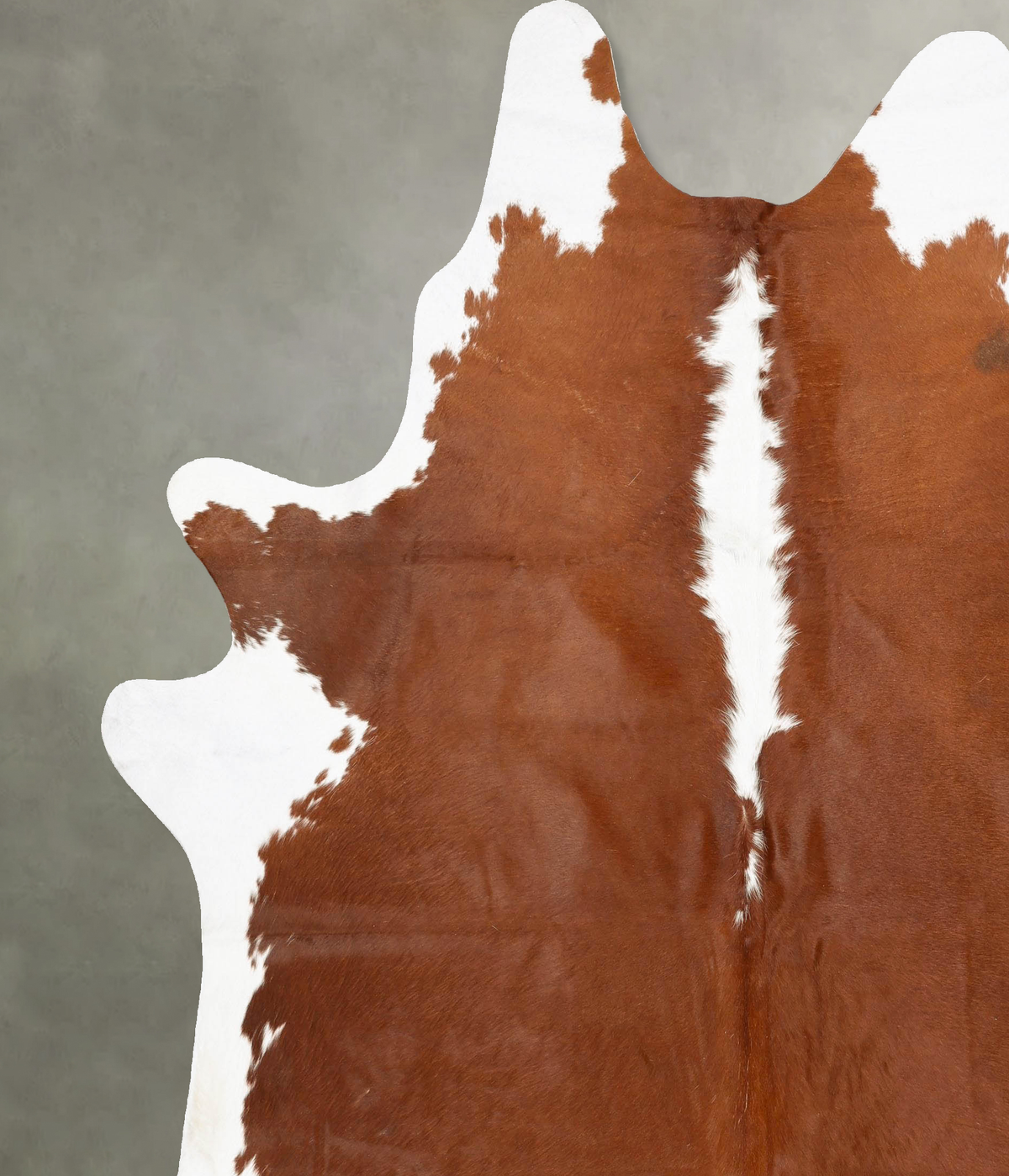 Brown and White Regular XX-Large Brazilian Cowhide Rug 8'7"H x 7'4"W #B28932 by Hudson Hides