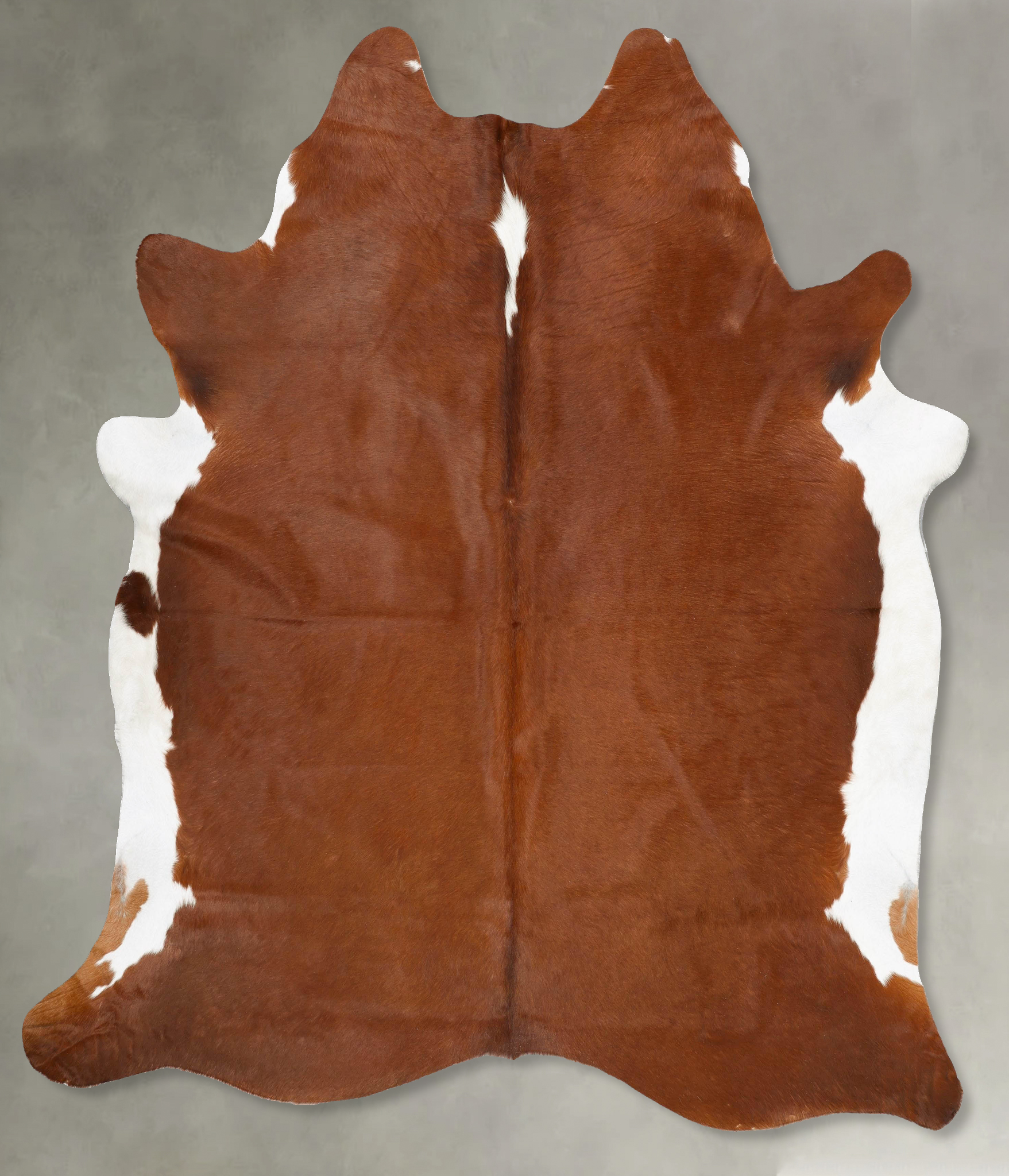 Brown and White Regular Cowhide Rug #B28934