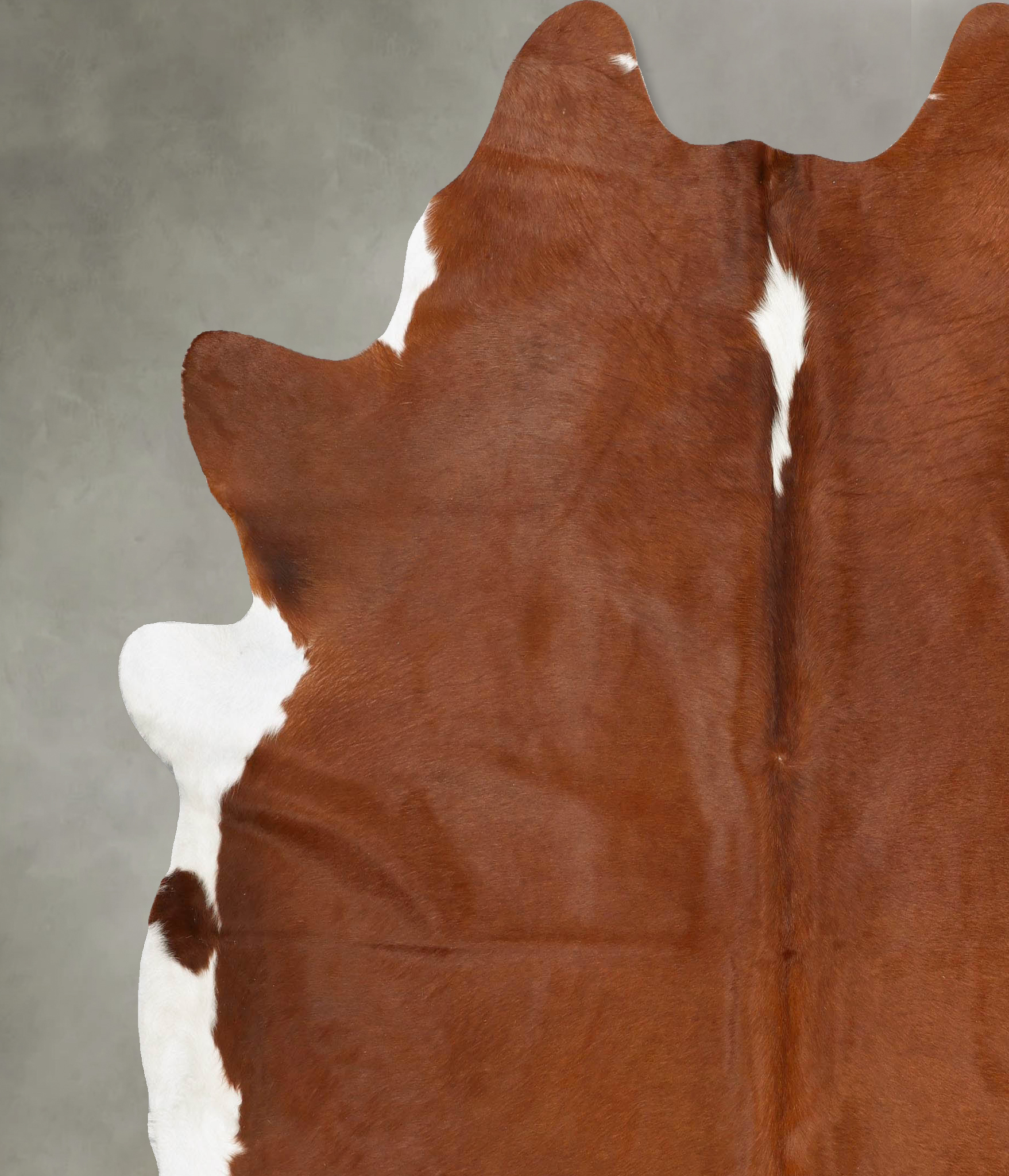 Brown and White Regular Cowhide Rug #B28934