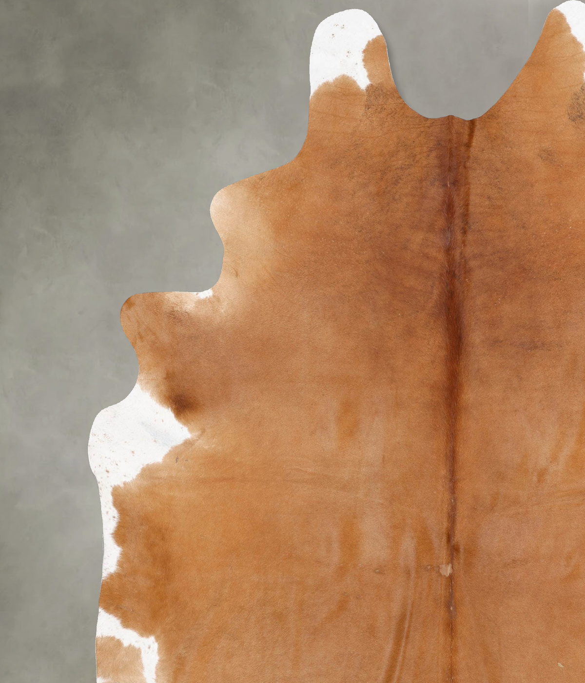 Solid Brown XX-Large Brazilian Cowhide Rug 9'0"H x 7'4"W #B28940 by Hudson Hides