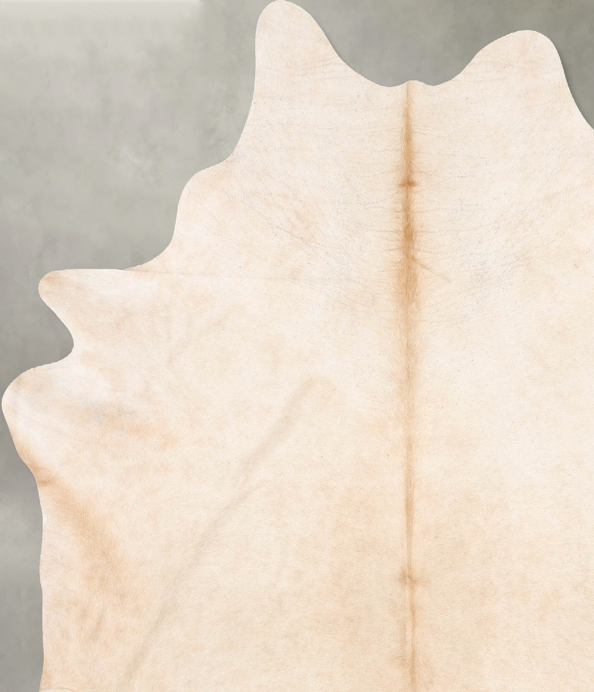 Palomino XX-Large Brazilian Cowhide Rug 8'5"H x 6'8"W #B28943 by Hudson Hides