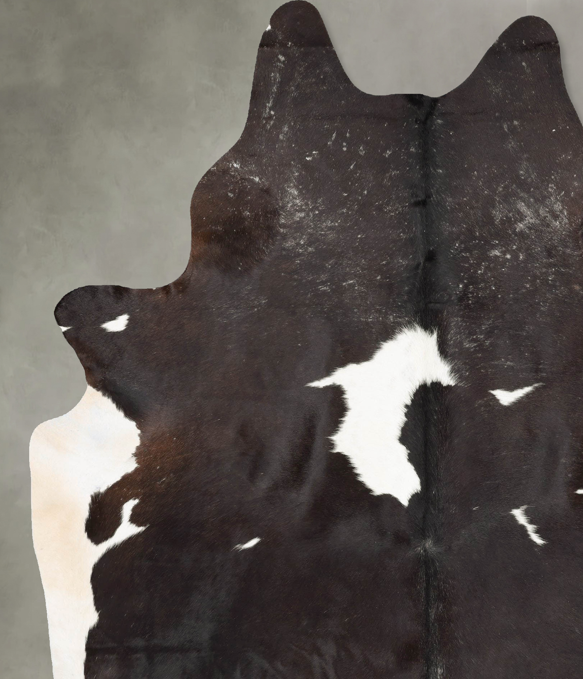 Chocolate and White XX-Large Brazilian Cowhide Rug 8'10"H x 6'4"W #B28946 by Hudson Hides