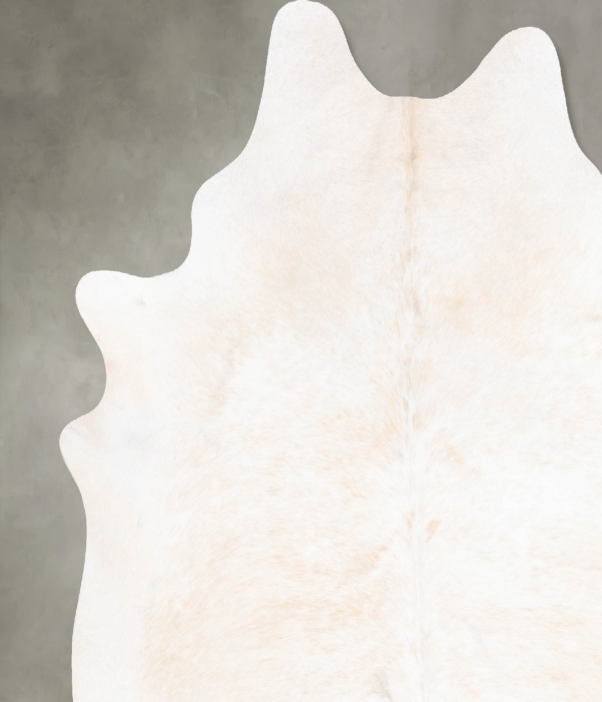 Ivory with Beige XX-Large Brazilian Cowhide Rug 7'7"H x 6'11"W #B28947 by Hudson Hides