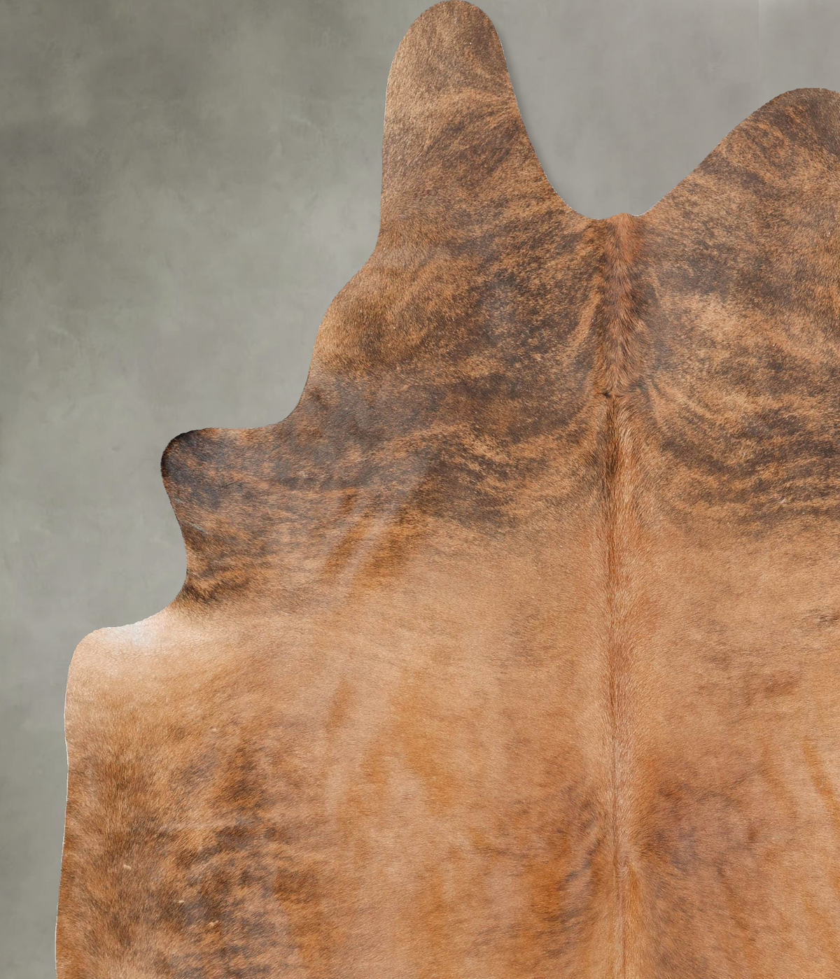 Medium Brindle X-Large Brazilian Cowhide Rug 7'10"H x 6'4"W #B28948 by Hudson Hides