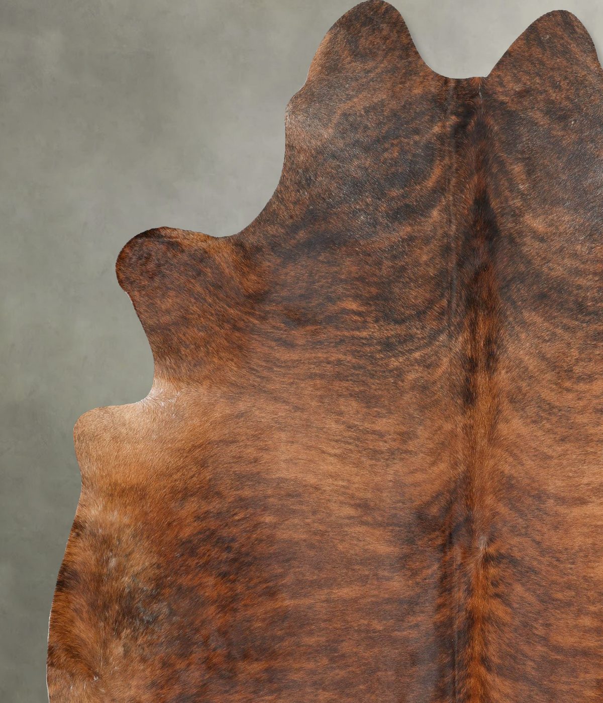 Medium Brindle XX-Large Brazilian Cowhide Rug 8'1"H x 6'7"W #B28962 by Hudson Hides