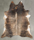 Medium Brindle XX-Large Brazilian Cowhide Rug 8'6"H x 7'4"W #B28963 by Hudson Hides