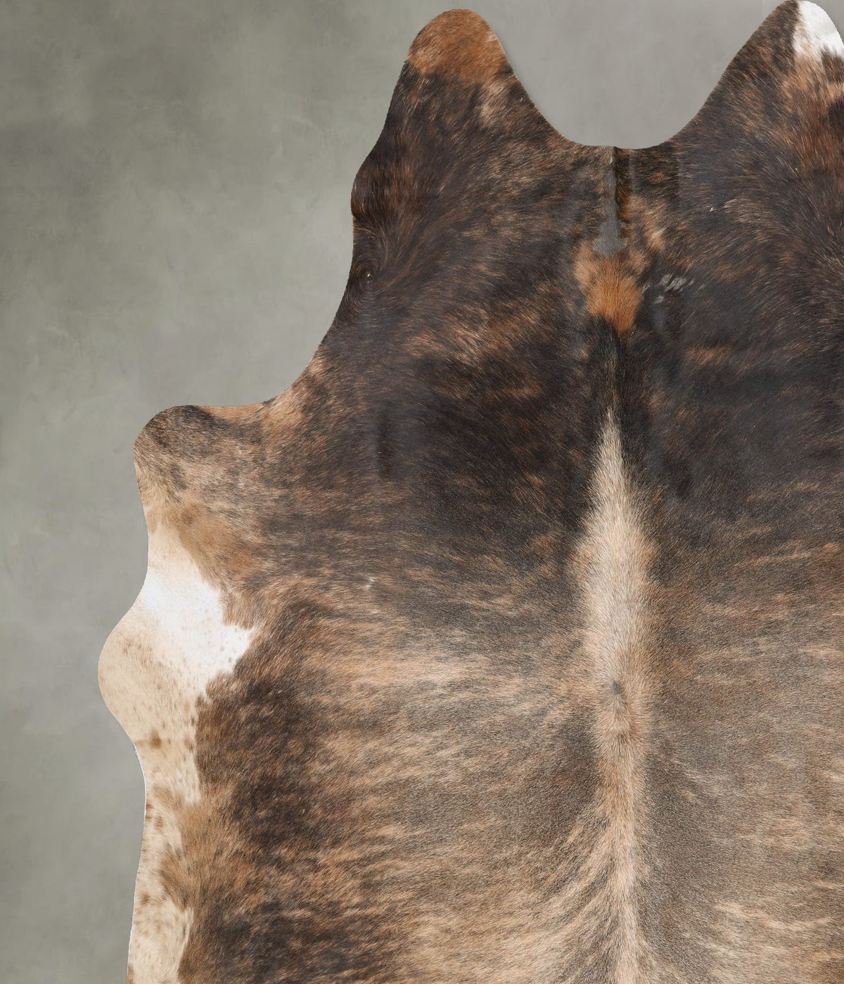 Medium Brindle XX-Large Brazilian Cowhide Rug 8'6"H x 7'4"W #B28963 by Hudson Hides