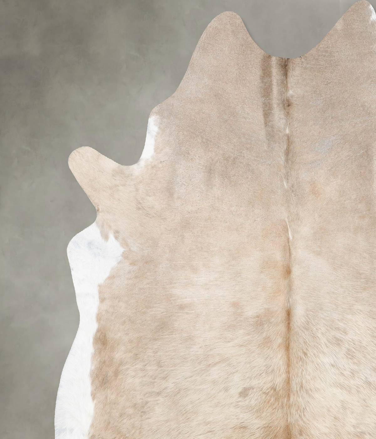 Taupe XX-Large Brazilian Cowhide Rug 7'11"H x 6'6"W #B28965 by Hudson Hides