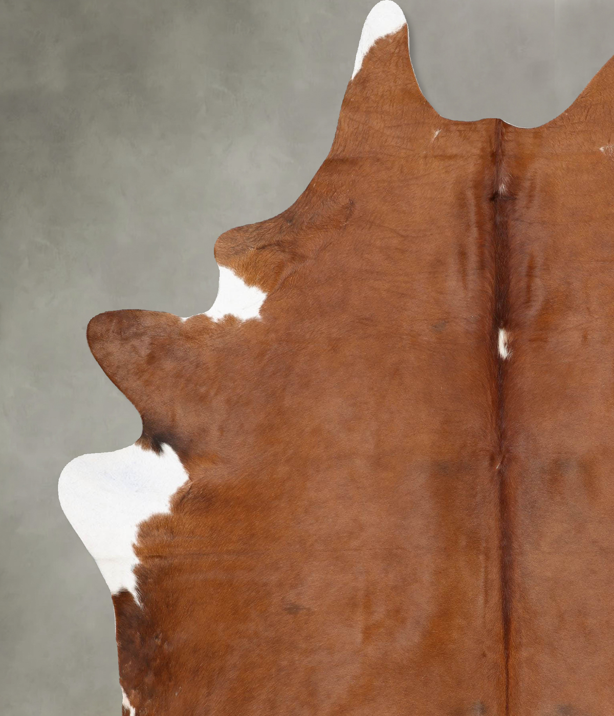 Brown and White Regular X-Large Brazilian Cowhide Rug 8'0"H x 6'0"W #B28967 by Hudson Hides