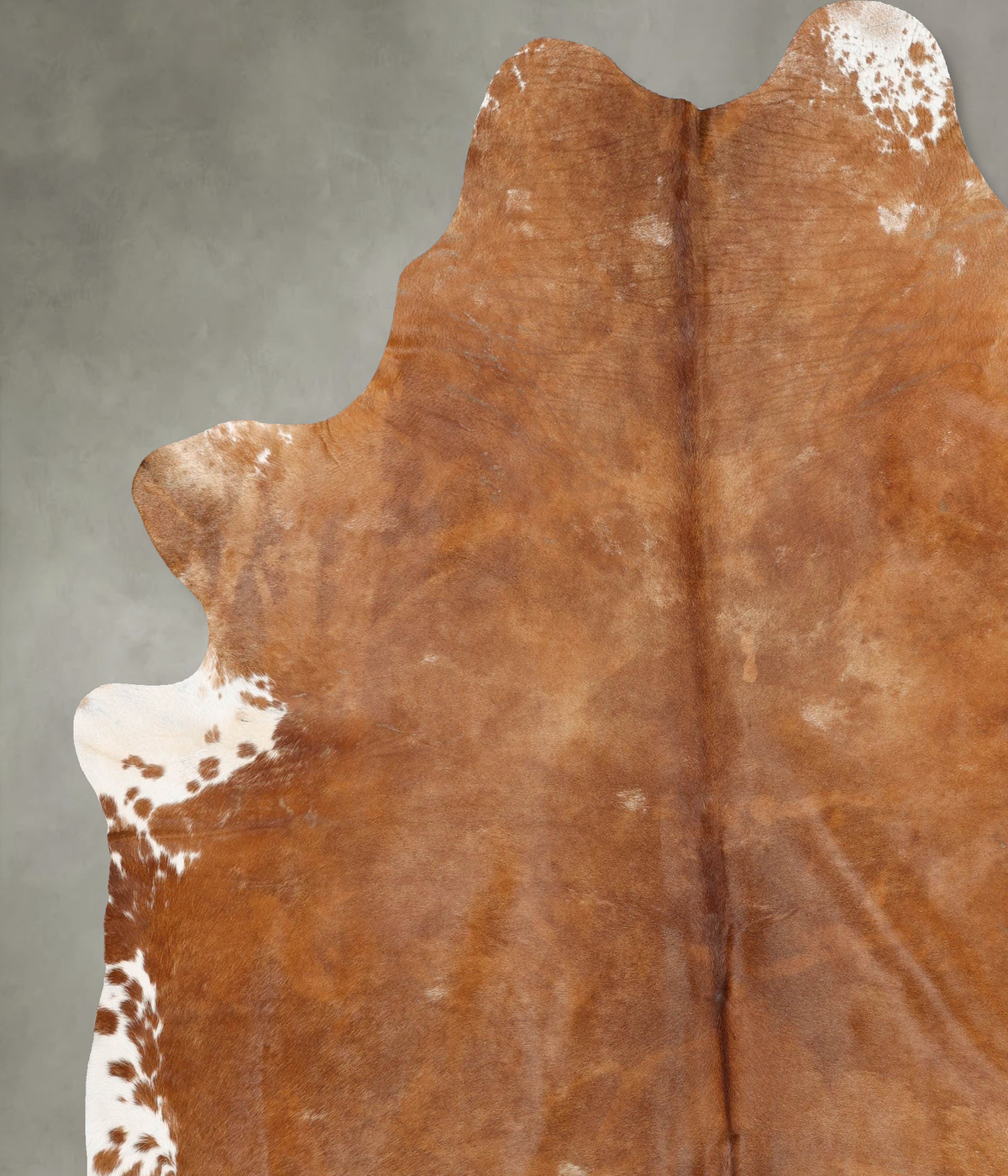 Brown and White Regular XX-Large Brazilian Cowhide Rug 9'0"H x 7'6"W #B28970 by Hudson Hides