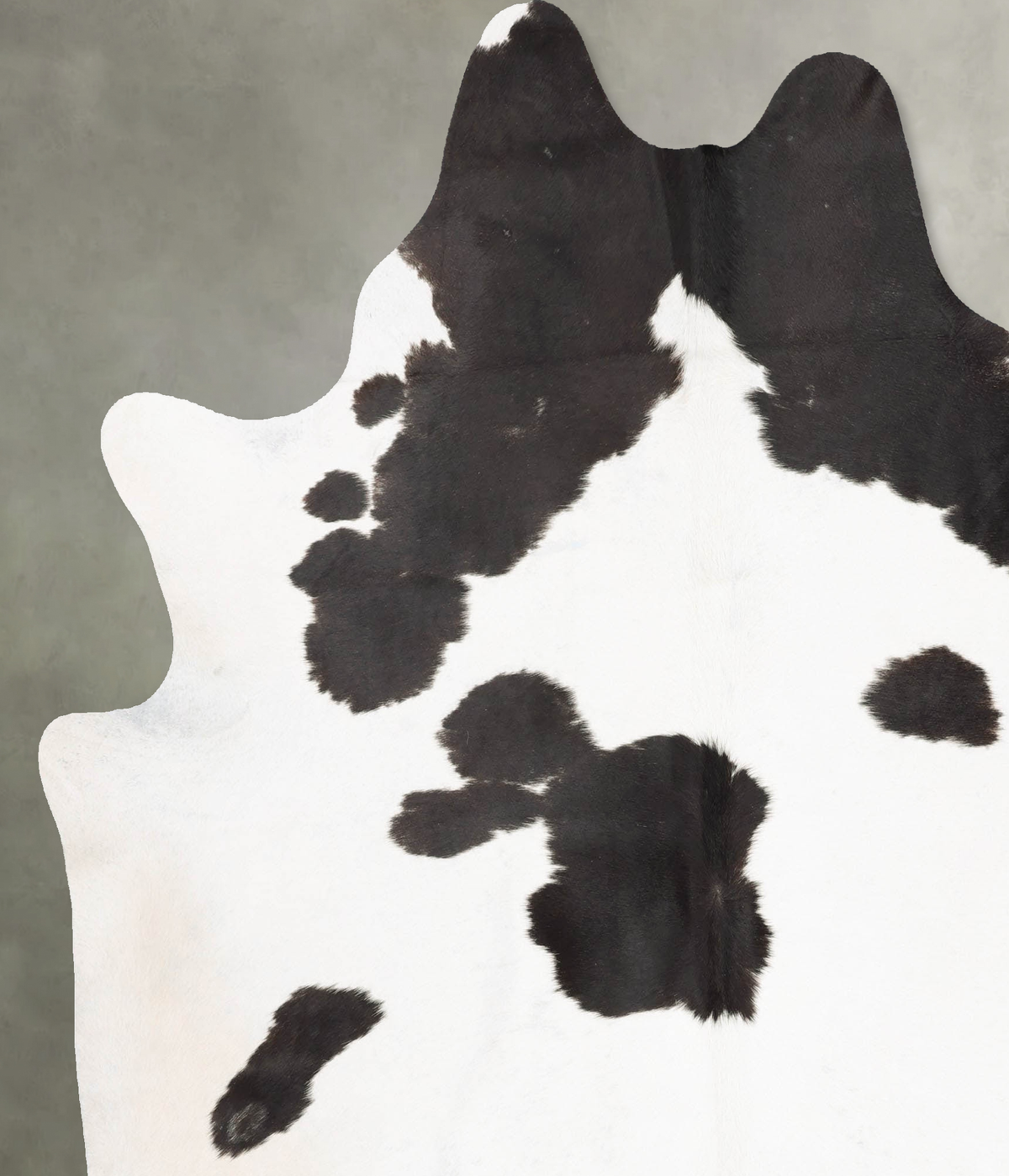 Black and White XX-Large Brazilian Cowhide Rug 7'11"H x 6'9"W #B28986 by Hudson Hides