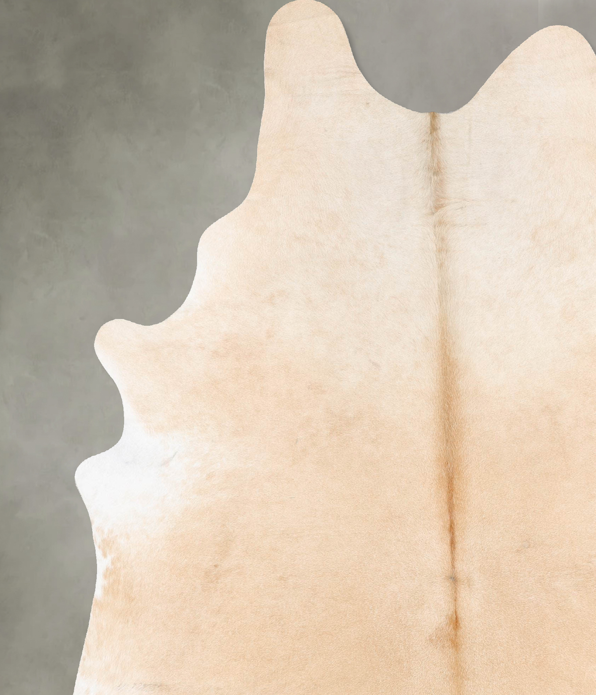 Palomino XX-Large Brazilian Cowhide Rug 8'8"H x 6'7"W #B28992 by Hudson Hides