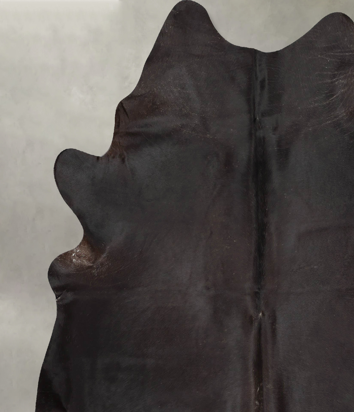 Chocolate XX-Large Brazilian Cowhide Rug 8'0"H x 6'6"W #B29003 by Hudson Hides