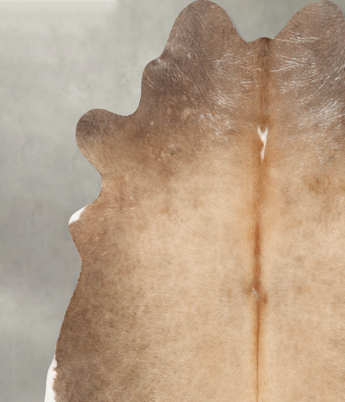 Light Caramel XX-Large Brazilian Cowhide Rug 7'9"H x 7'2"W #B29004 by Hudson Hides