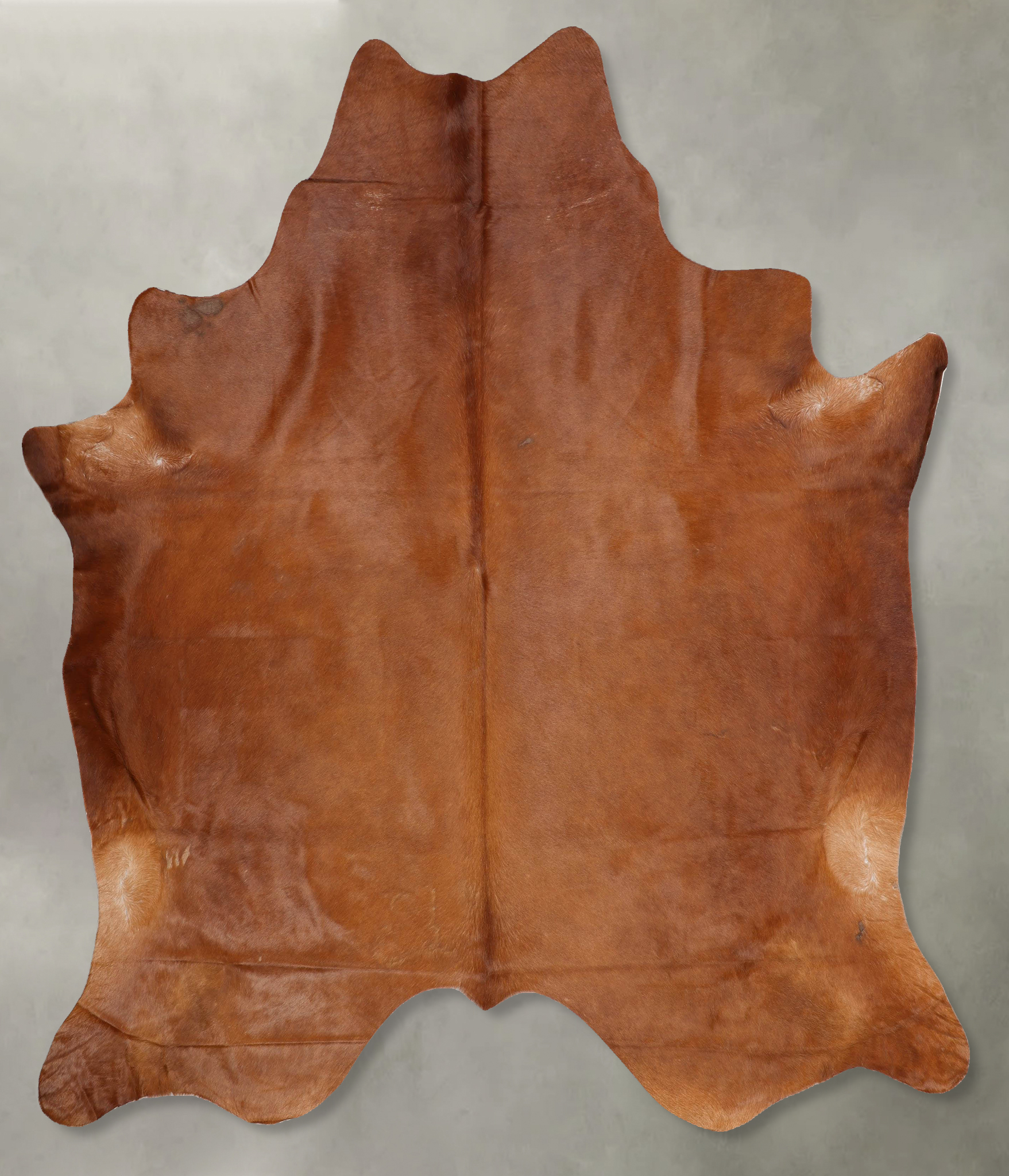Solid Brown Cowhide Rug #B29006