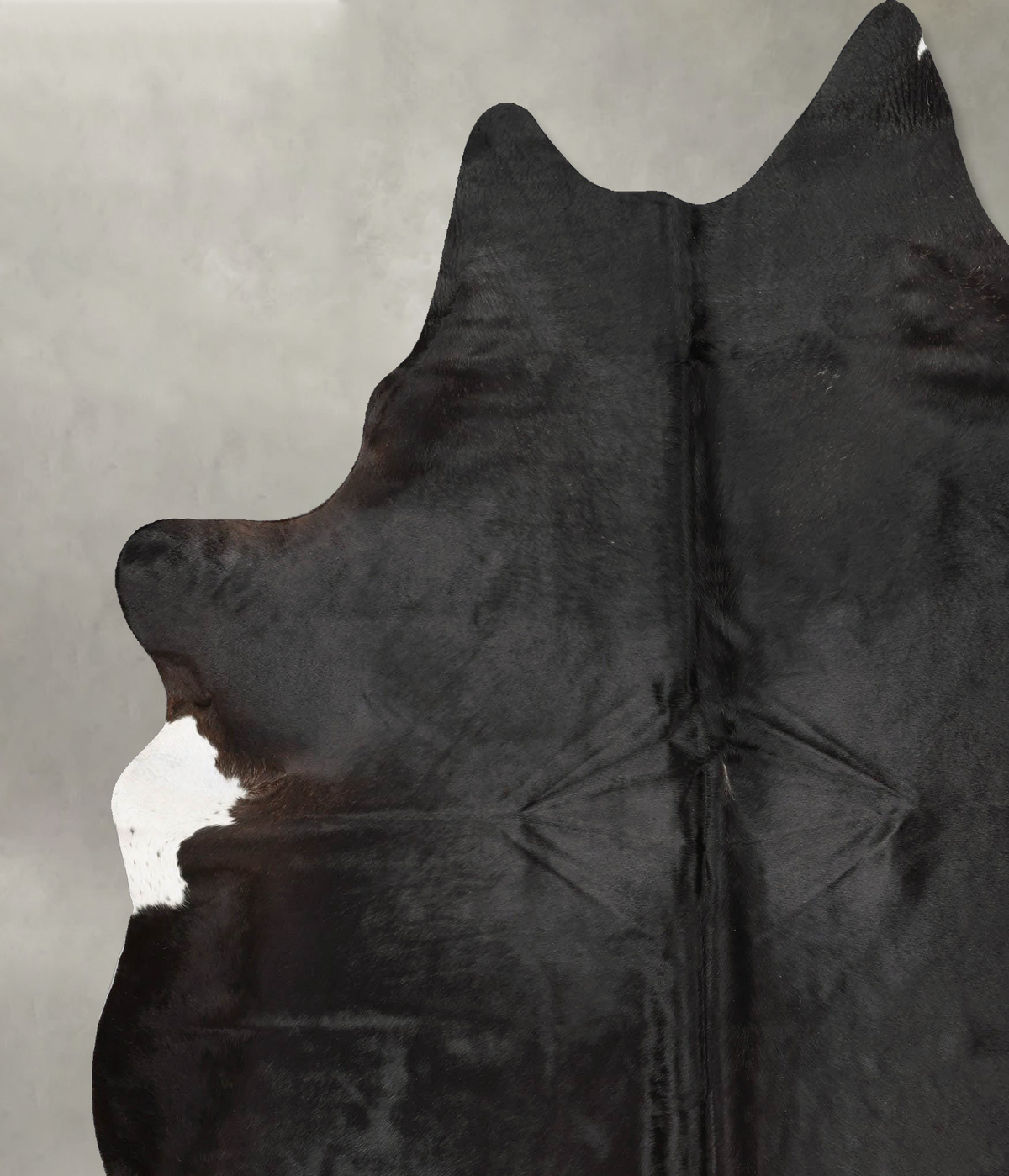 Chocolate XX-Large Brazilian Cowhide Rug 8'0"H x 6'10"W #B29008 by Hudson Hides