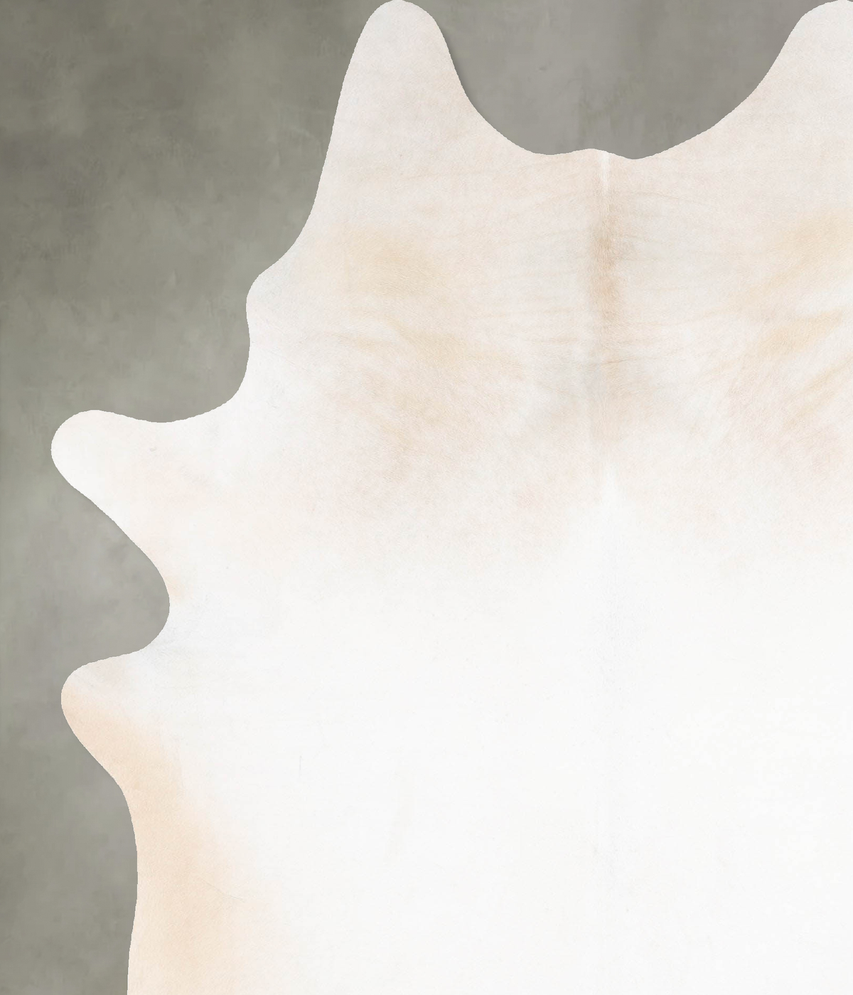 Ivory with Beige XX-Large Brazilian Cowhide Rug 8'7"H x 6'4"W #B29016 by Hudson Hides