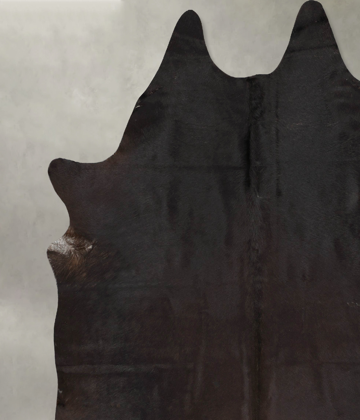 Chocolate XX-Large Brazilian Cowhide Rug 8'11"H x 7'8"W #B29018 by Hudson Hides