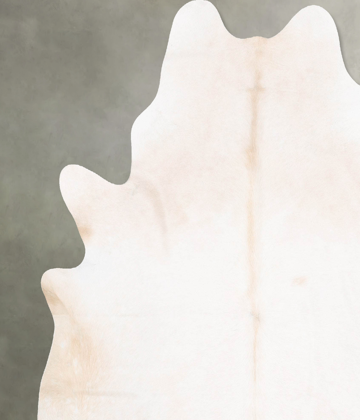 Ivory with Beige X-Large Brazilian Cowhide Rug 7'3"H x 6'7"W #B29020 by Hudson Hides