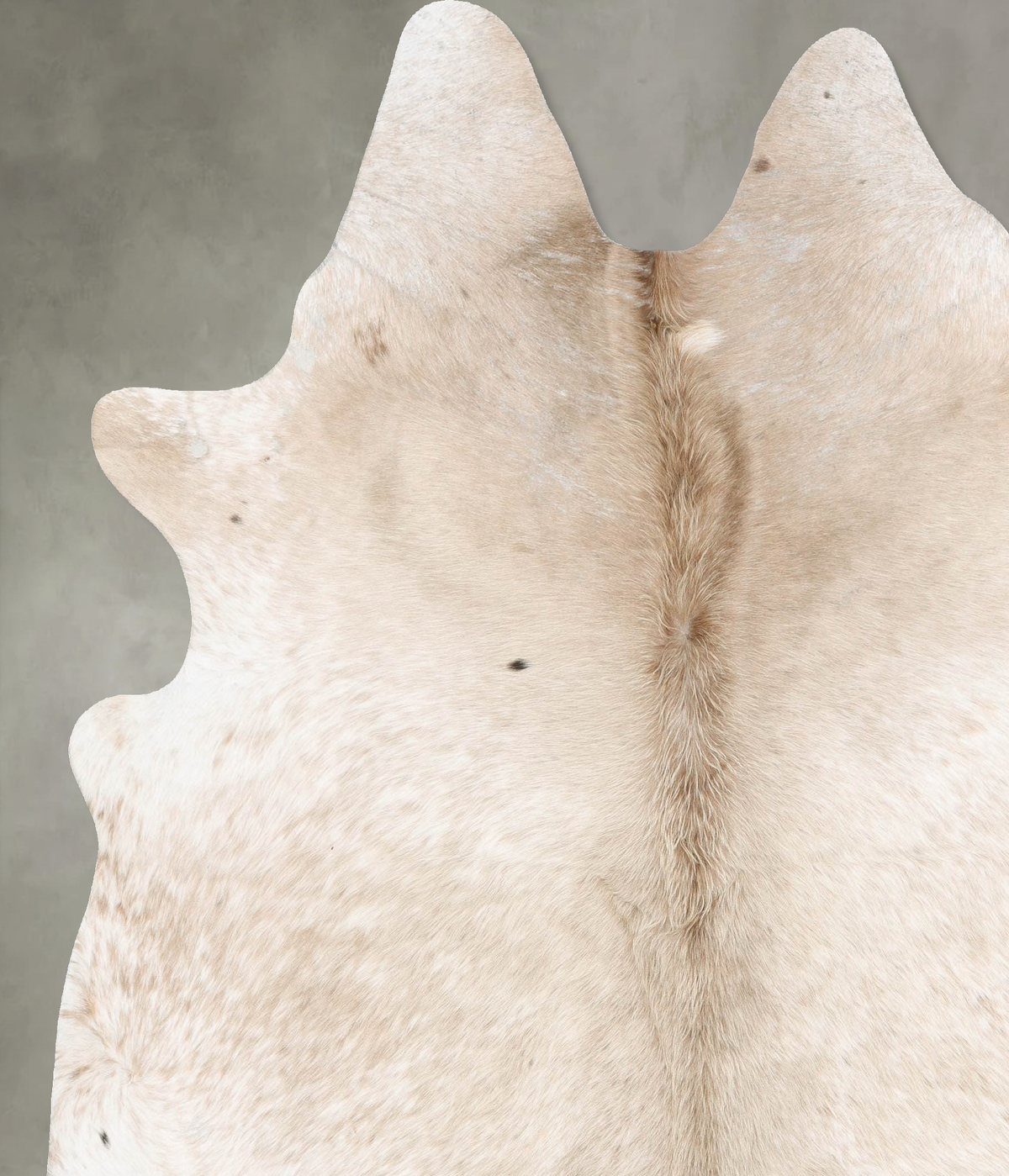 Champagne XX-Large Brazilian Cowhide Rug 8'4"H x 7'1"W #B29025 by Hudson Hides