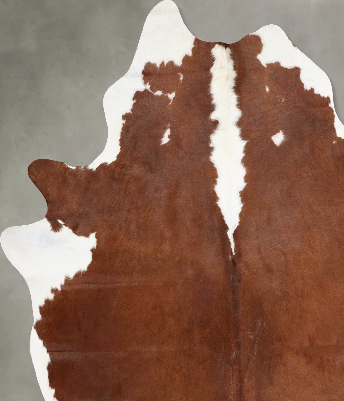 Hereford XX-Large Brazilian Cowhide Rug 7'11"H x 6'7"W #B29027 by Hudson Hides