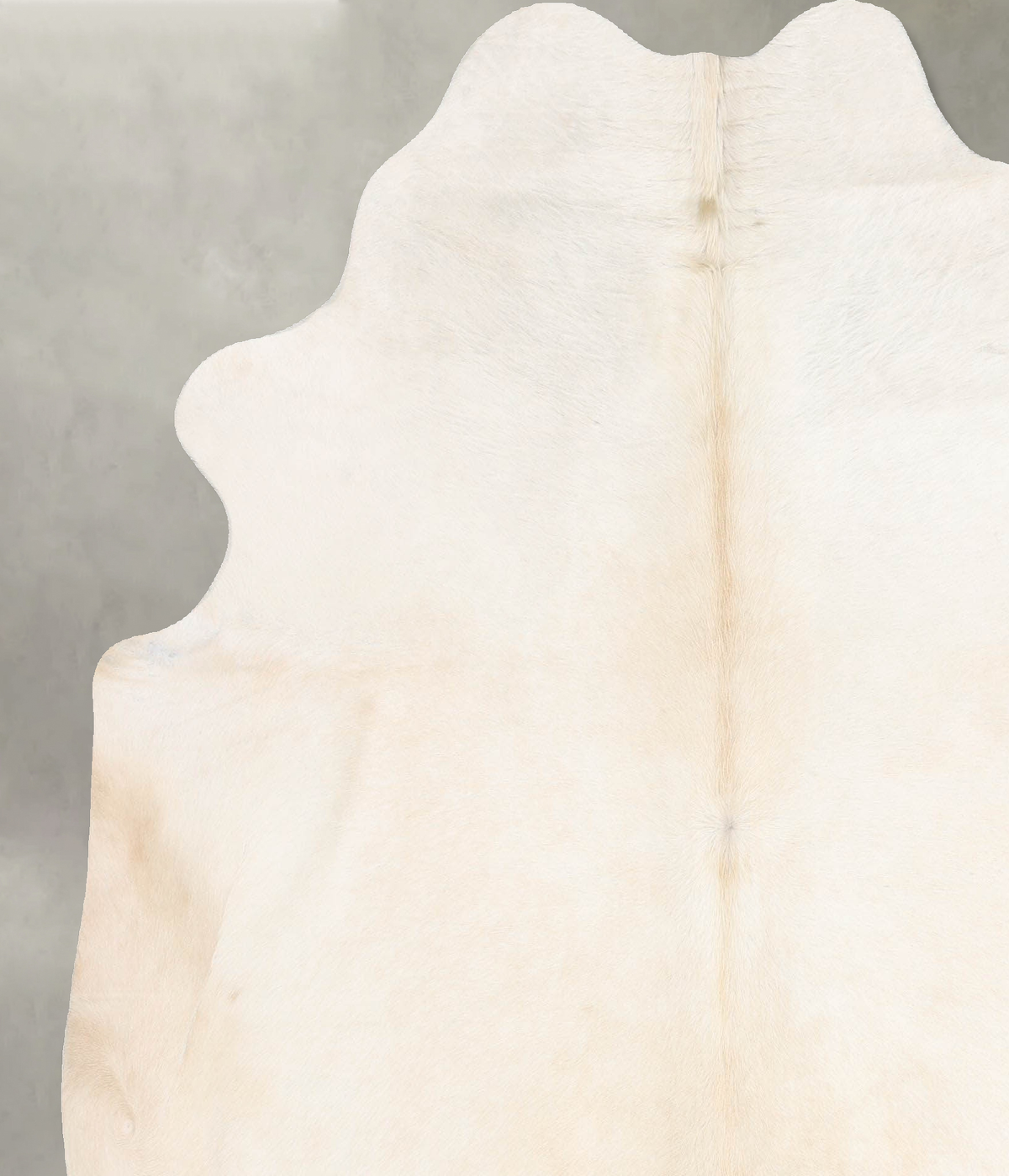 Palomino X-Large Brazilian Cowhide Rug 7'3"H x 6'5"W #B29028 by Hudson Hides
