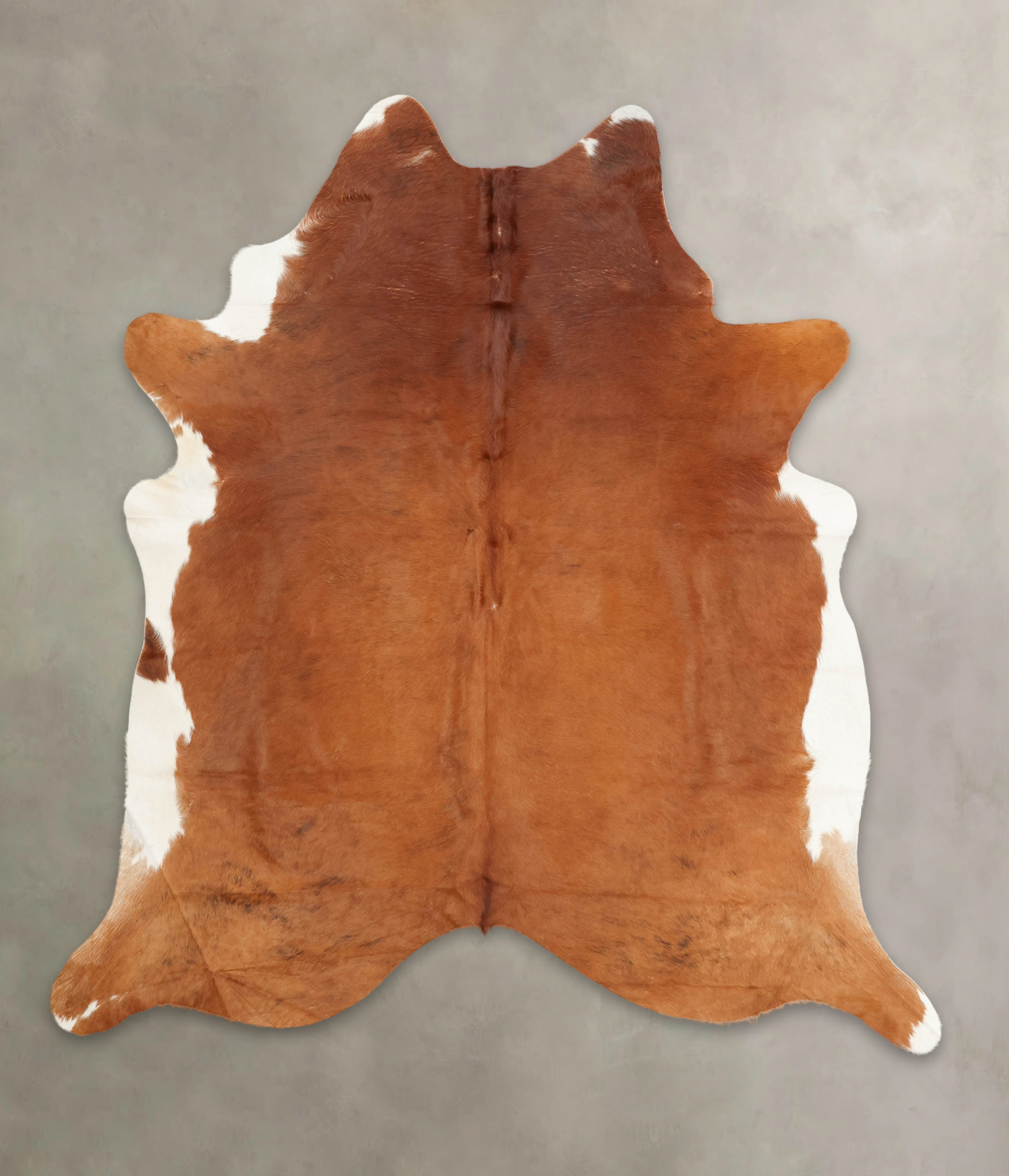 Brown and White Regular Cowhide Rug #B2903