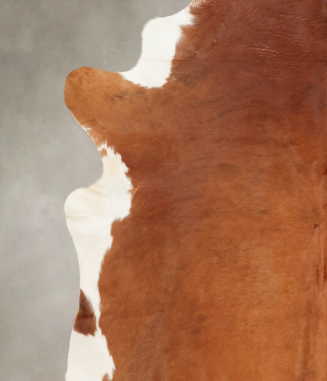 Brown and White Regular XX-Large Brazilian Cowhide Rug 7'8"H x 7'0"W #