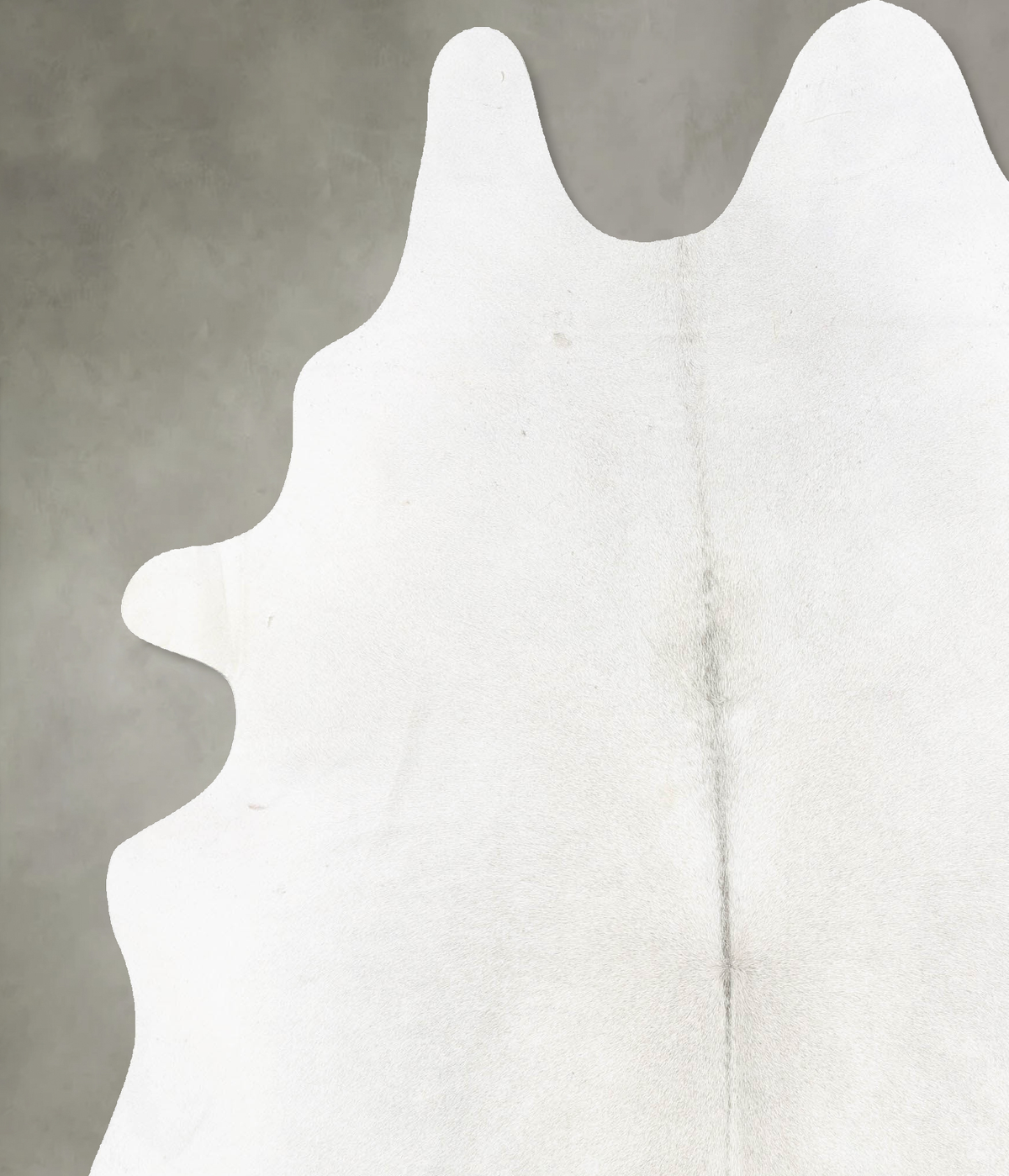 Light Grey XX-Large Brazilian Cowhide Rug 8'4"H x 6'9"W #B29031 by Hudson Hides