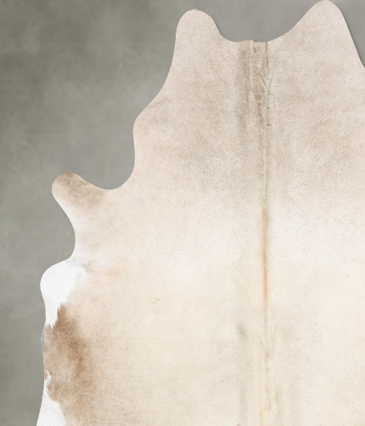 Champagne X-Large Brazilian Cowhide Rug 7'8"H x 6'4"W #B29037 by Hudson Hides